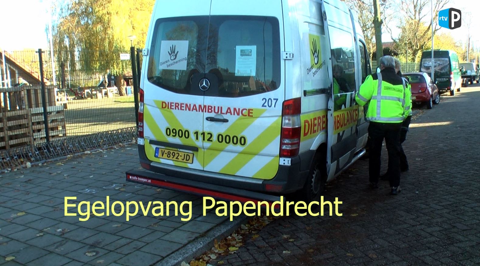 TV Papendrecht op bezoek bij de Egelopvang